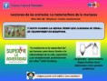 /album/tips-resiliencia/resiliencia-jpg/